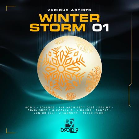 VA - Winter Storm (2023) MP3 VA - Winter Storm (2023) MP3