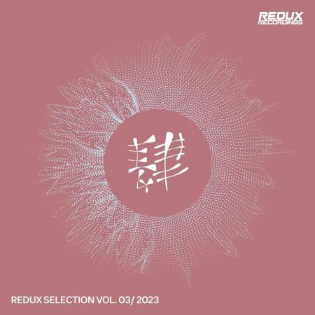 VA - Redux Selection (Vol.3) (2023) MP3 VA - Redux Selection (Vol.3) (2023) MP3