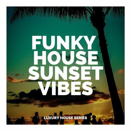 VA - Funky House Sunset Vibes (2023) MP3 VA - Funky House Sunset Vibes (2023) MP3