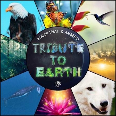 VA - Roger Shah & Ambedo - Tribute To Earth (2023) MP3 VA - Roger Shah & Ambedo - Tribute To Earth (2023) MP3