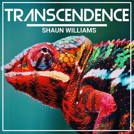 VA - Shaun Williams - Transcendence (2023) MP3 VA - Shaun Williams - Transcendence (2023) MP3