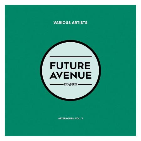 VA - Afterhours Vol 3 (2023) MP3