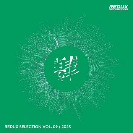 VA - Redux Selection, Vol. 9 / 2023 (2023) MP3 VA - Redux Selection, Vol. 9 / 2023 (2023) MP3