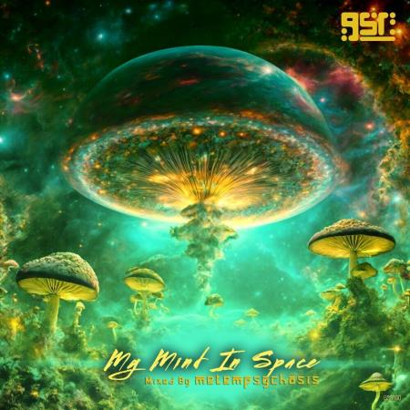 VA - My Mind In Space (Mixed by metempsychosis) (2024) MP3 VA - My Mind In Space (Mixed by metempsychosis) (2024) MP3