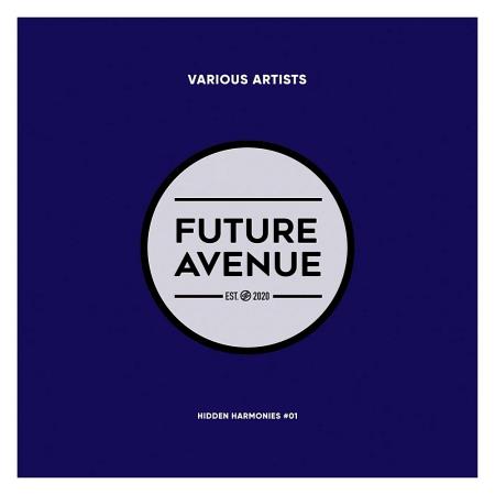 VA - Hidden Harmonies #01 (2024) MP3 VA - Hidden Harmonies #01 (2024) MP3