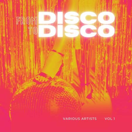 VA - From Disco To Disco, Vol. 1 (2024) MP3 VA - From Disco To Disco, Vol. 1 (2024) MP3