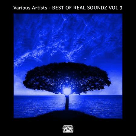 VA - BEST OF REAL SOUNDZ VOL 3 (2024) MP3 VA - BEST OF REAL SOUNDZ VOL 3 (2024) MP3