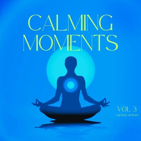 VA - Calming Moments, Vol. 3 (2024) MP3 VA - Calming Moments, Vol. 3 (2024) MP3