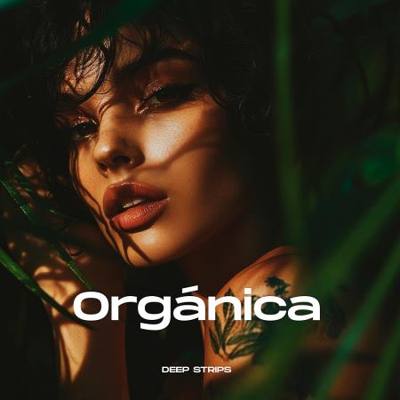 VA - Organica (2024) MP3 VA - Organica (2024) MP3
