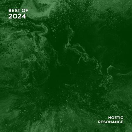 VA - Noetic Resonance - Best of 2024 (2024) MP3