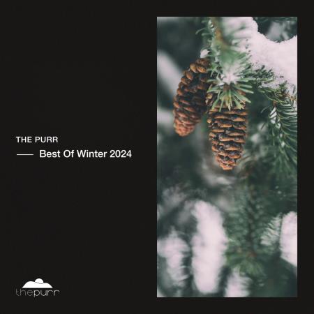 VA - Winter Best Of 2024 (2025) MP3