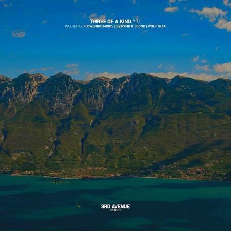 VA - Three of a Kind #031 (2025) MP3 VA - Three of a Kind #031 (2025) MP3