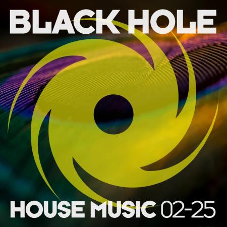 VA - Black Hole House Music 02-25 (2025) MP3