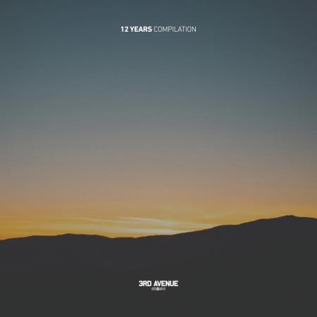 VA - 12 Years 3rd Avenue (2025) MP3