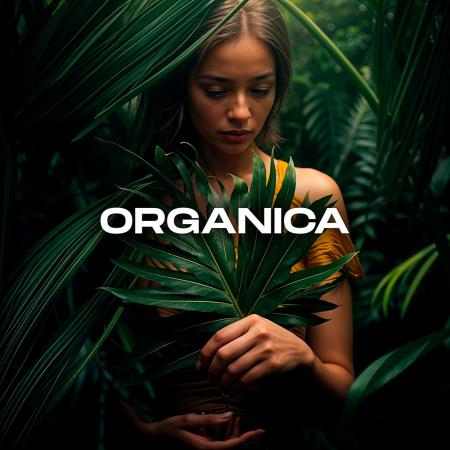 VA - Organica (2025) MP3