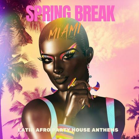 VA - Spring Break Miami (2025) MP3 VA - Spring Break Miami (2025) MP3