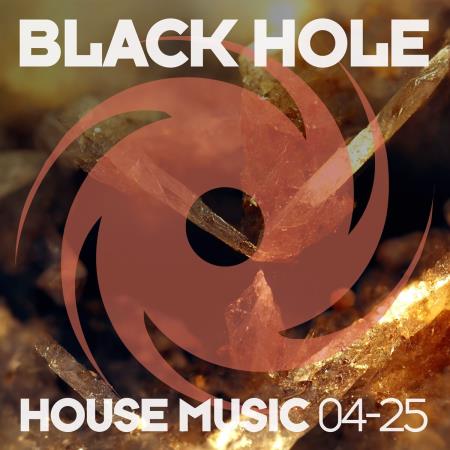 VA - Black Hole House Music 04-25 (2025) MP3