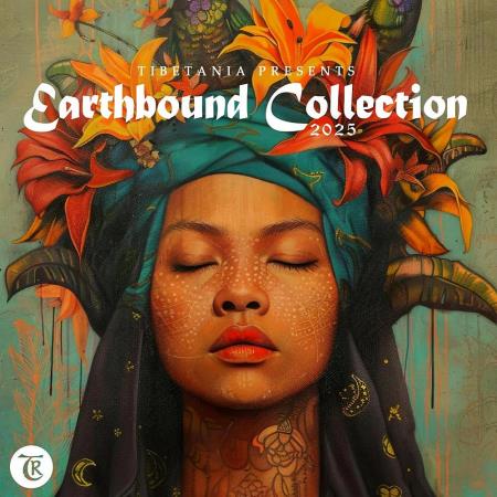 VA - Earthbound Collection 2025 (2025) MP3