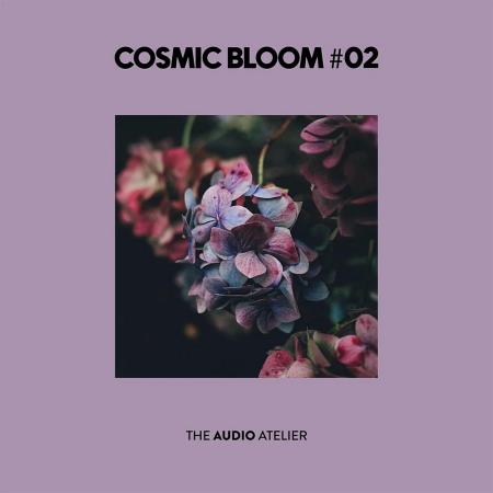 VA - Cosmic Bloom #02 (2025) MP3 VA - Cosmic Bloom #02 (2025) MP3