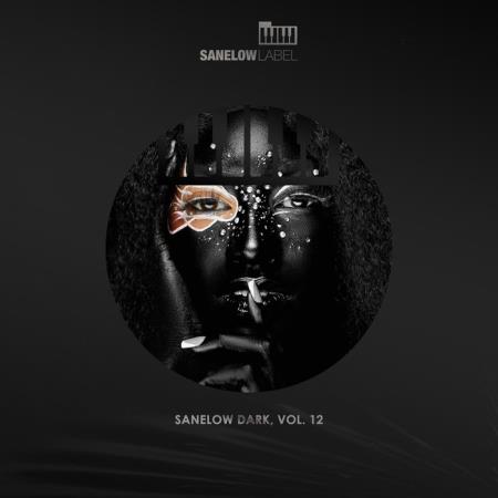 VA - Sanelow Dark, Vol 12 (2025) MP3