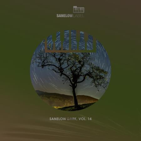 VA - Sanelow Dark, Vol. 14 (2025) MP3