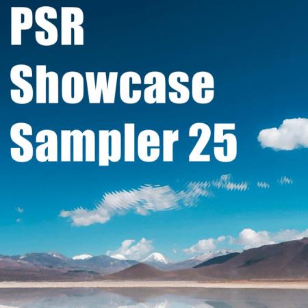 VA - PSR Showcase Sampler 25 (2025) MP3