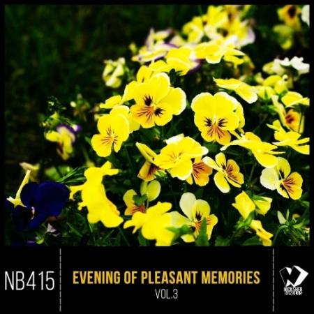 VA - Evening of Pleasant Memories, Vol. 3 (2025) MP3