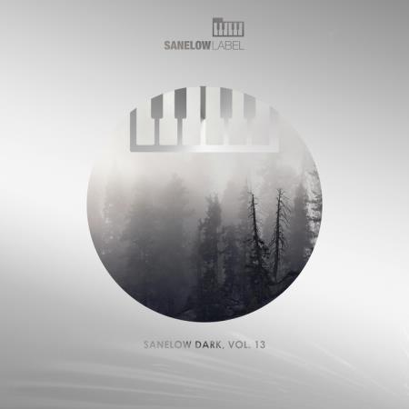 VA - Sanelow Dark, Vol 13 (2025) MP3