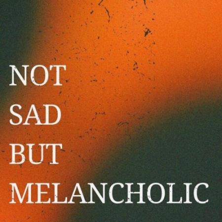 VA - Not Sad But Melancholic (2025) MP3