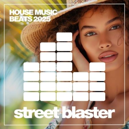 VA - House Music Beats 2025 (2025) MP3 VA - House Music Beats 2025 (2025) MP3