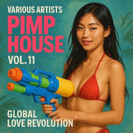 VA - Pimp House, Vol 11 - Global Love Revolution (2025) MP3 VA - Pimp House, Vol 11 - Global Love Revolution (2025) MP3