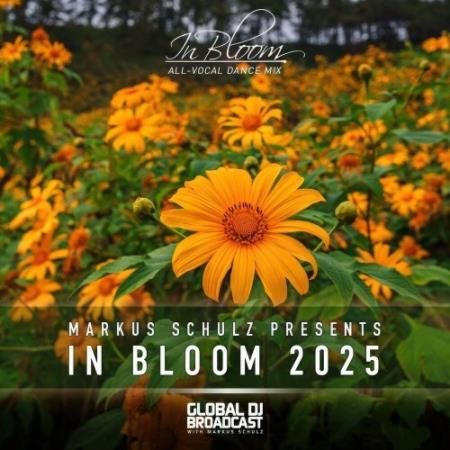 VA - Markus Schulz - In Bloom 2025 (Vocal Dance Mix) (2025) MP3