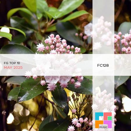 VA - FG Top 10: May 2025 (2025) MP3 VA - FG Top 10: May 2025 (2025) MP3