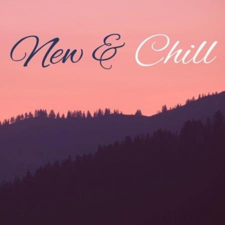 VA - New & Chill (2025) MP3