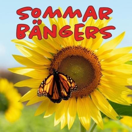 VA - Sommar Bängers (2025) MP3