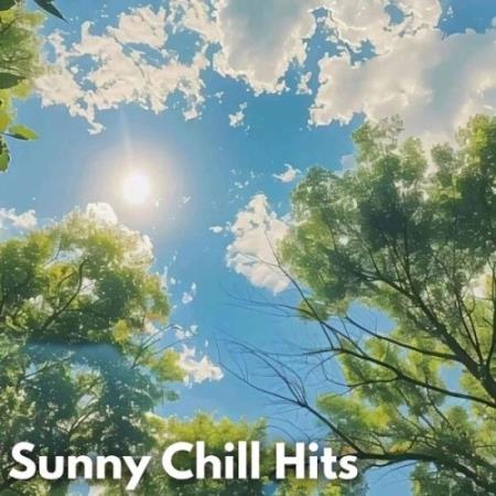 VA - Sunny Chill Hits (2025) MP3 VA - Sunny Chill Hits (2025) MP3
