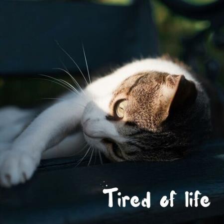 VA - tired of life (2025) MP3 VA - tired of life (2025) MP3