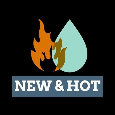 VA - new & hot (2025) MP3