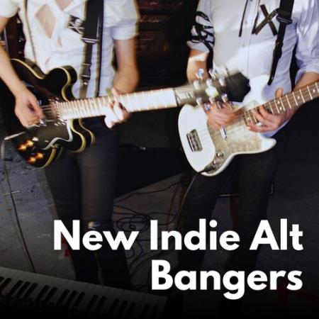 VA - New Indie Alt Bangers (2025) MP3