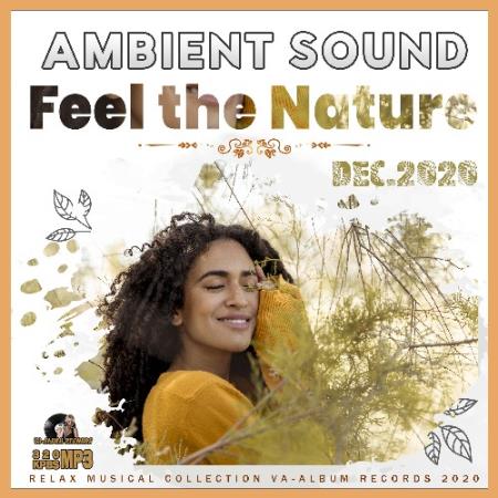 VA - Feel The Nature: Ambient Sound (2020) VA - Feel The Nature: Ambient Sound (2020)