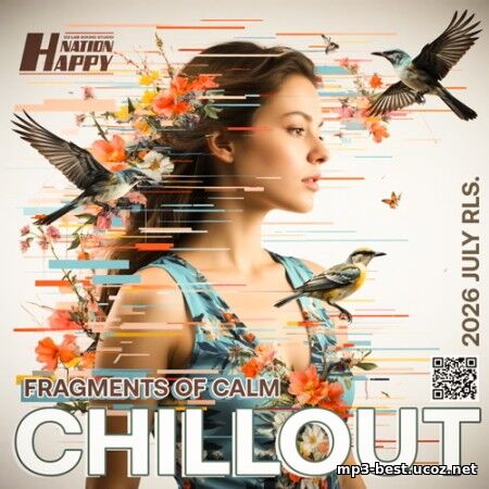 VA - Fragments Of Calm (2...